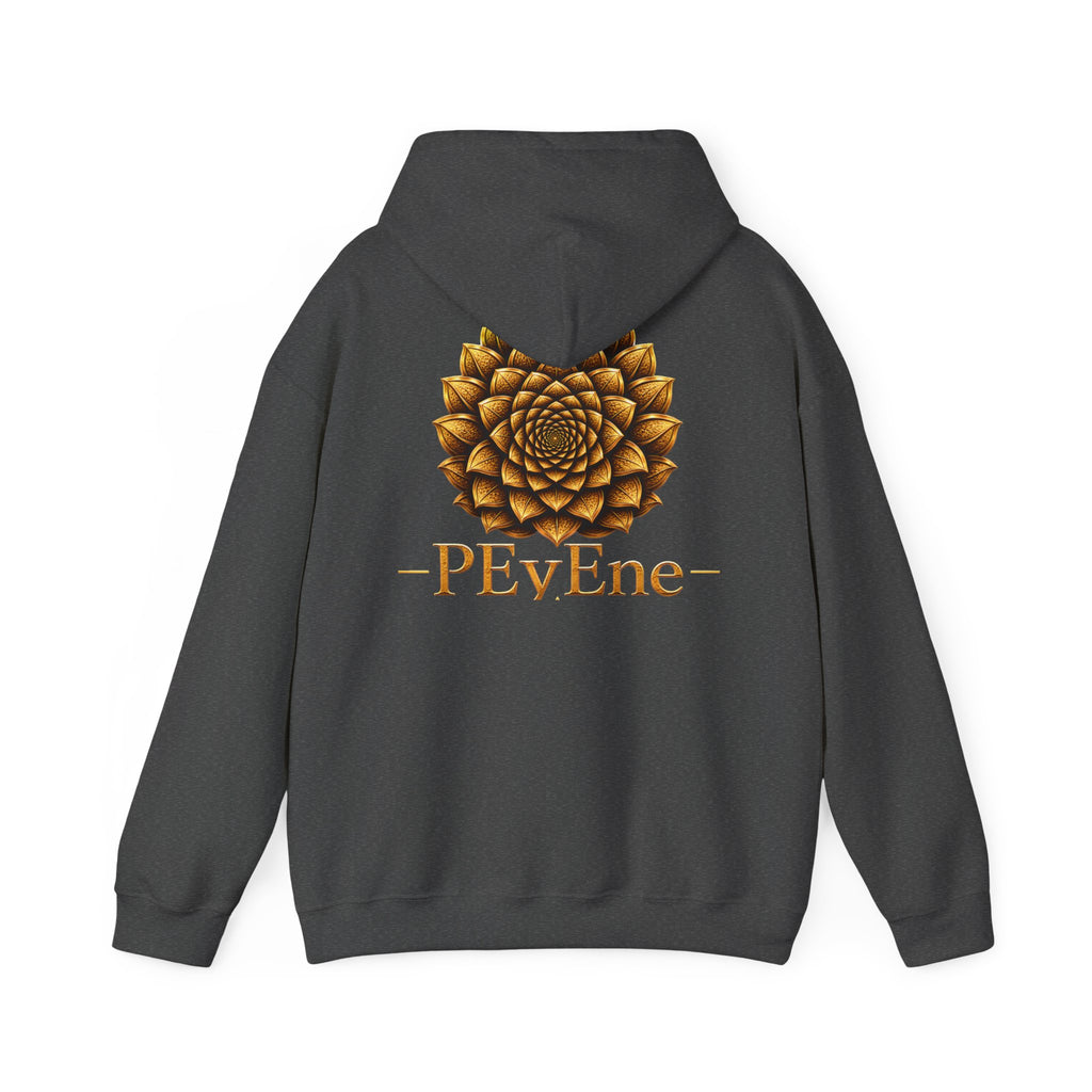 Wear your Heyer Vision